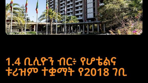 በኢትዮጵያ ኢንቨስትመንት ሆልዲንግስ ሥር የሚገኙ የሆቴልና ቱሪዝም ተቋማት በ2018 በጀት ዓመት ዘርፉ የታቀደውን ዕቅድ 103 በመቶ አሳክተዋል ተብሏል። - Sputnik አፍሪካ