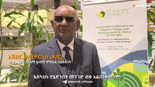 እንደበፊቱ አጀንዳ ተቀባዮች ሳንሆን አጀንዳ የምንፈጥር መሆን አለብን – የፓን አፍሪካ ፓርላማ ተቀዳሚ ምክትል ፕሬዝዳንት - Sputnik አፍሪካ