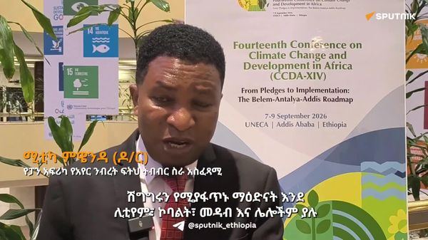 አፍሪካ የተፈጥሮ ሃብቶቿን መቆጣጠር መጀመር አለባት - የአየር ንብረት ባለሙያ - Sputnik አፍሪካ