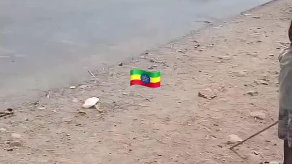 ወርቃማውን የመንገድ ሕግ አይዘንጉ! - Sputnik አፍሪካ