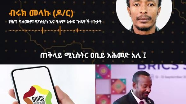 ብሪክስ አማራጭ የክፍያ ስልቶችን ማዳበር አለበት – ኢትዮጵያዊ ተንታኝ - Sputnik አፍሪካ
