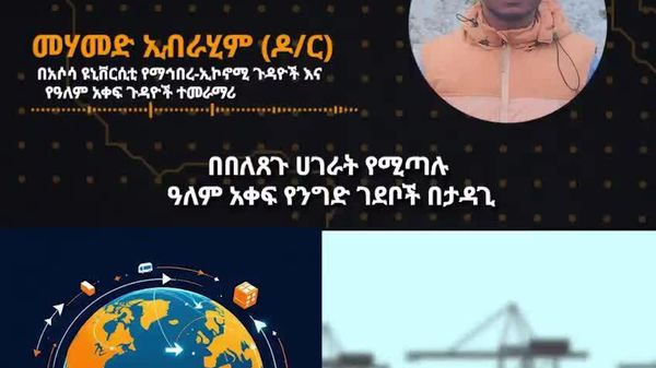 የዓለን አቀፍ ንግድ ገደቦች አፍሪካውያን በዓለም ገበያ ተወዳዳሪ እንዳይሆኑ እያደረጉ ነው -ኢትዮጵያዊ ተመራማሪ - Sputnik አፍሪካ