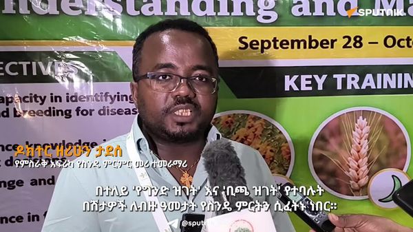 የስንዴ ራስ አድረቅ በሽታ አሳሳቢ እየሆነ መጥቷል፤ ቀጣናዊ ቅንጅት ያስፈልገዋል – ተመራማሪ - Sputnik አፍሪካ