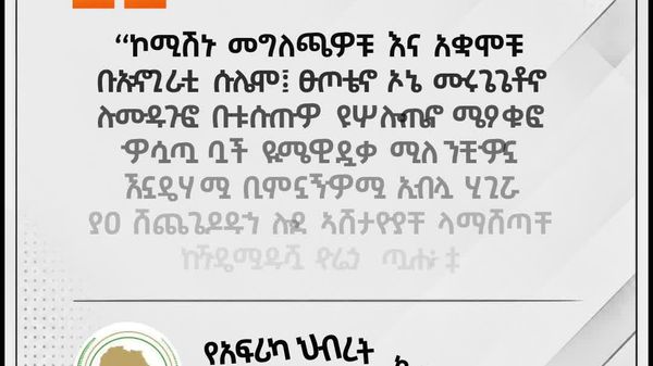 የአፍሪካ ኅብረት ለኢትዮጵያ ቀውስ ግብፅን ተጠያቂ አድርጓል መባሉን አስተባበለ - Sputnik አፍሪካ