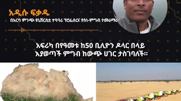 አፍሪካ ለም መሬት እና ሰፊ የግብርና ቦታ ቢኖራትም ሕዝቧን ለመመገብ የሚያስችል በቂ ምግብ አታመርትም - ኢትዮጵያዊ የሥነ-ምግብ ተመራማሪ - Sputnik አፍሪካ