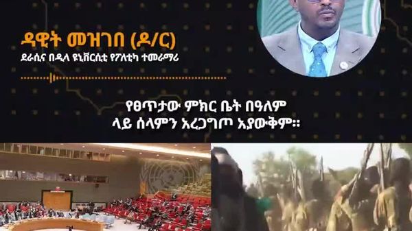 የጸጥታው ምክር ቤት የዓለምን ሰላም አረጋግጦ አያውቅም - ኢትዮጵያዊ ባለሙያ - Sputnik አፍሪካ