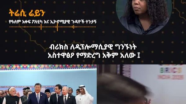 ብሪክስ የተለያዩ የፖለቲካ አመለካከቶች ያሏቸውን ሀገራት በማሰባሰብ ለዲፕሎማሲያዊ ውይይት ጉልህ አስተዋጽኦ የማድረግ አቅም አለው - ተንታኝ - Sputnik አፍሪካ