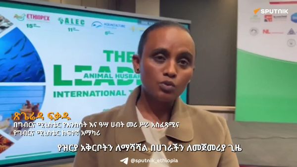 በኢትዮጵያ ዕለታዊ የዶሮ ጫጩት ስርጭት አቅም ከ26 ሚሊዮን ወደ 130 ሚሊዮን አደገ - Sputnik አፍሪካ