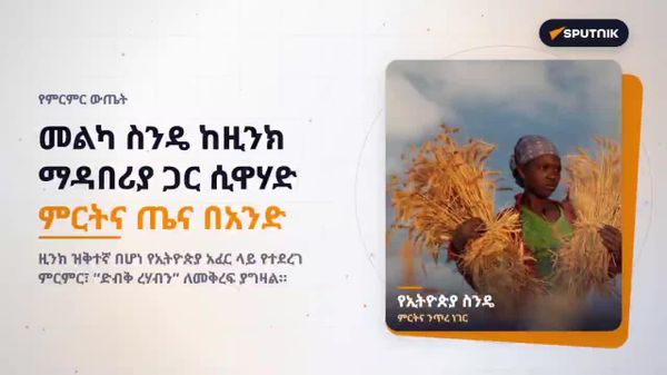 መልካ ስንዴ ከዚንክ ማዳበሪያ ጋር ሲጣመር ከፍተኛ ምርትና ዚንክ እንደሚያስገኝ ጥናት አመለከተ - Sputnik አፍሪካ