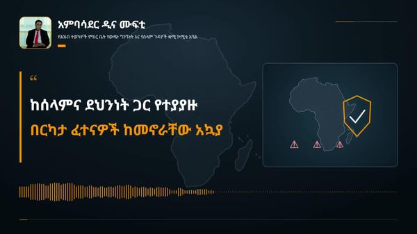 የአፍሪካ ሀገራት ከሩሲያ ጋር የሚፈጥሩት የደህንነት ትብብር ብሔራዊ ጥቅማቸውን የሚያስጠብቅ ነው - አምባሳደር ዲና ሙፍቲ - Sputnik አፍሪካ